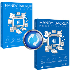 Расширение с версии Standard до Professional